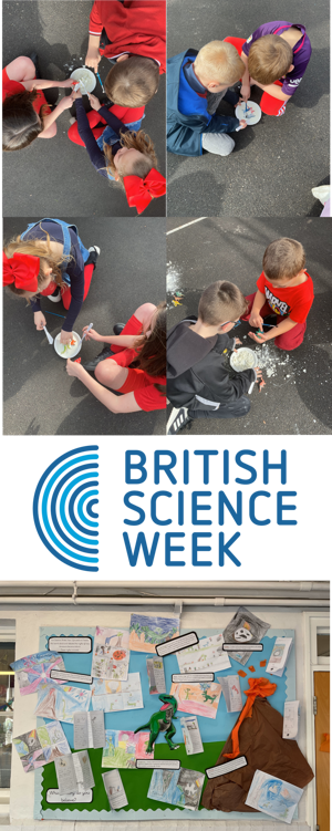 Science week