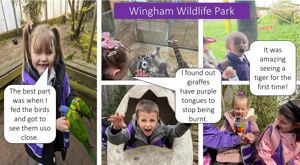 Wingham Trip Website