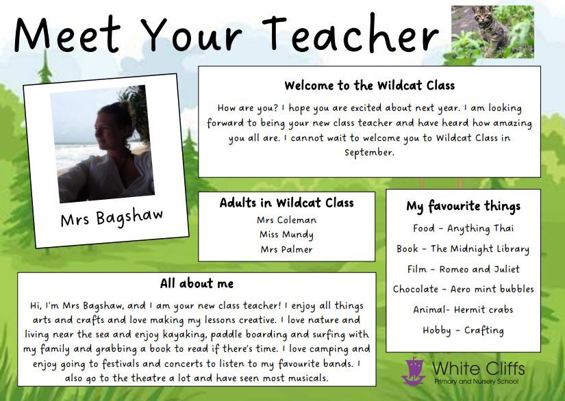 Meet the teacher   Wildcat