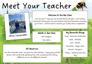 Meet the teacher   Bee