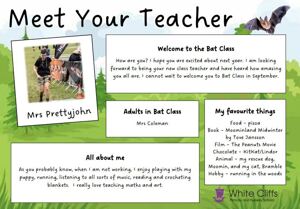 Meet the teacher   Bats