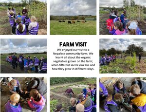 Webite   farm visit