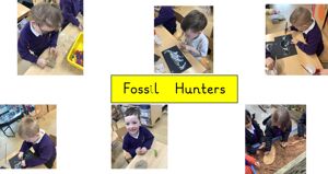Fossils
