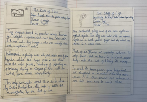 Screenshot 2025 04 02 125508