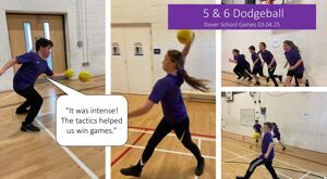 Website Ddegball 5&6