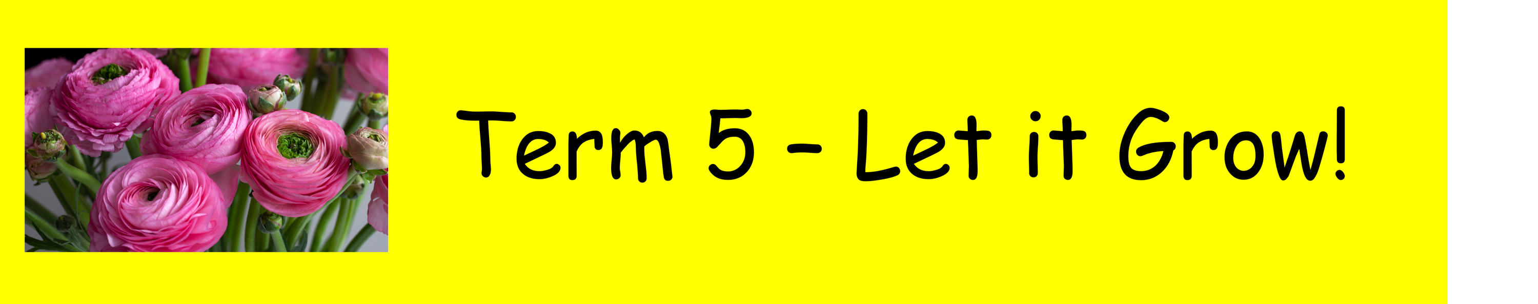 T5 header