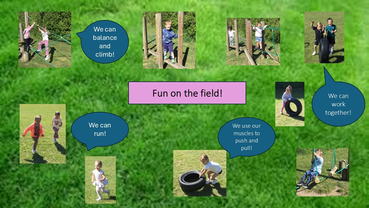 Field