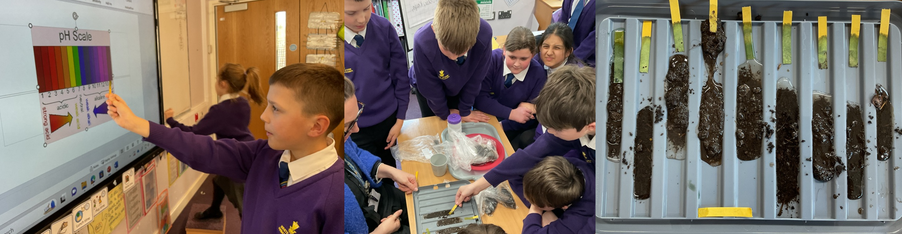 Science week