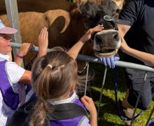 Processed DDD841C8 8BDA 4903 B65E C21D9C923BEC