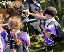 Processed AF0BAB4C F477 4F89 B720 36837DEBB5B7