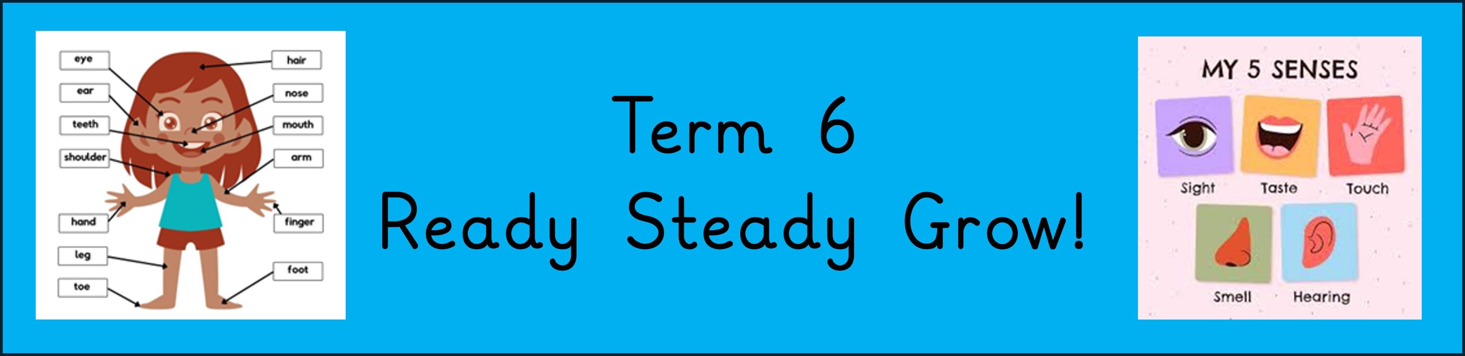 Term 6