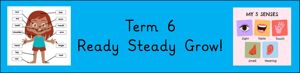 Term 6