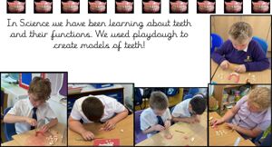 Teeth Website