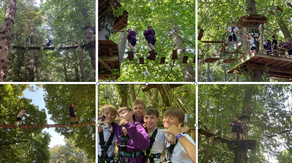 Go ape year 6 pic