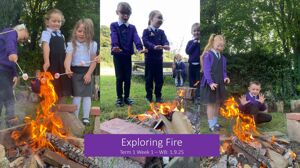 Fire Website