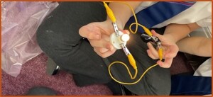 Term 1   science exploring