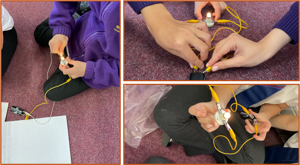 Term 1   science exploring