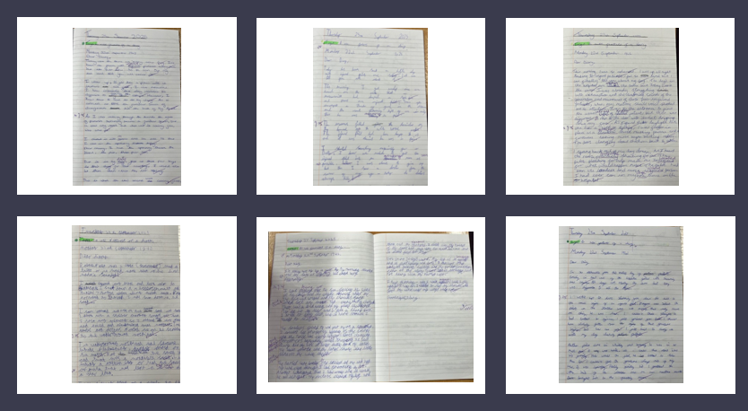 Diary
