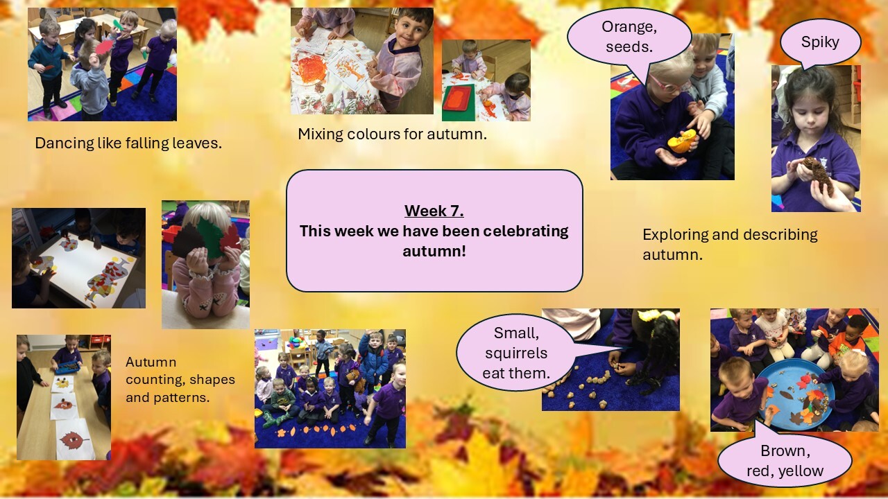 Week 7 webpage finished