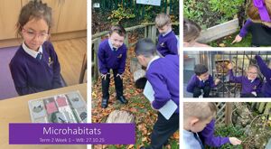 T2 W1   Microhabitats