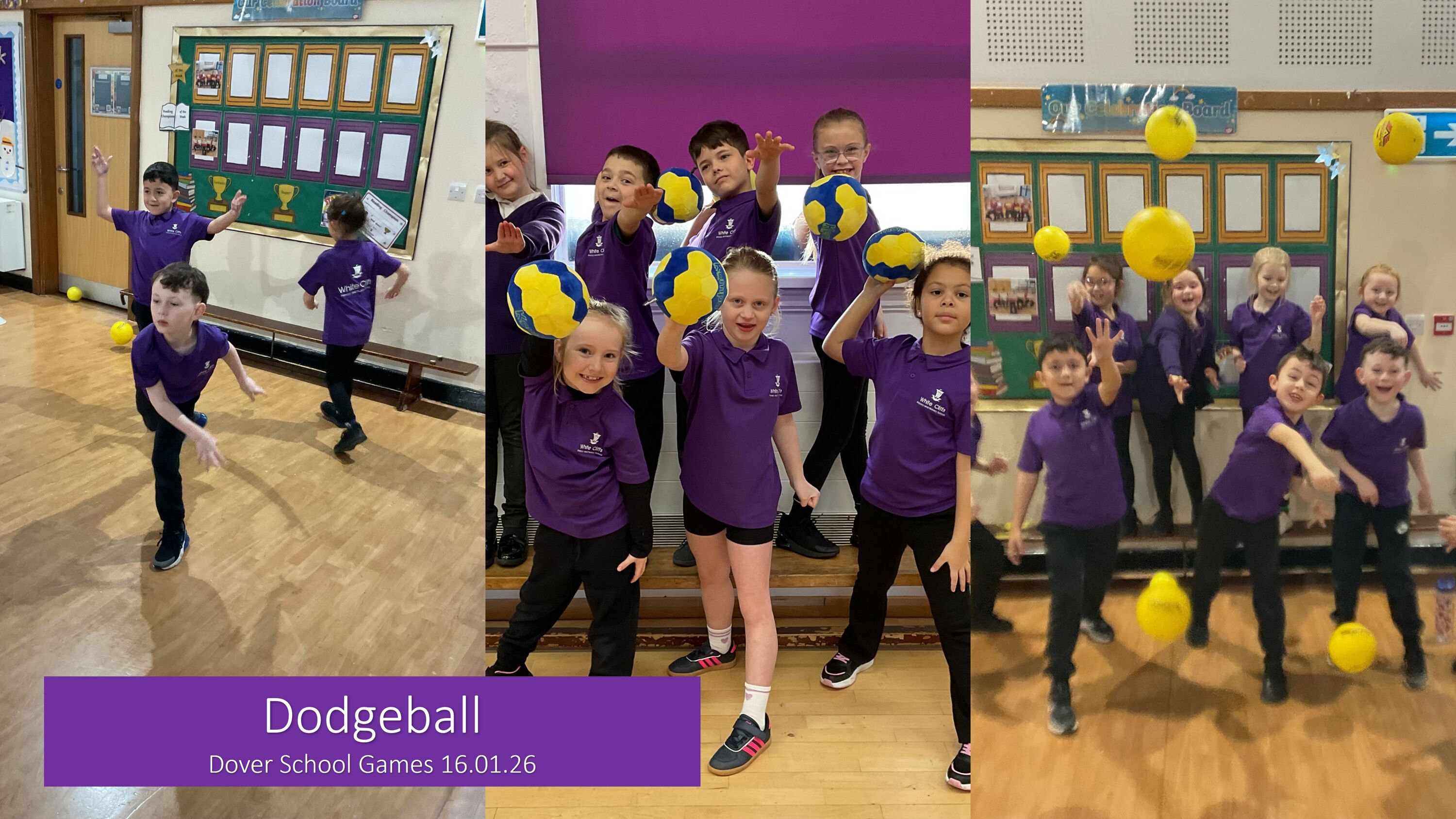 Dodgeball Website