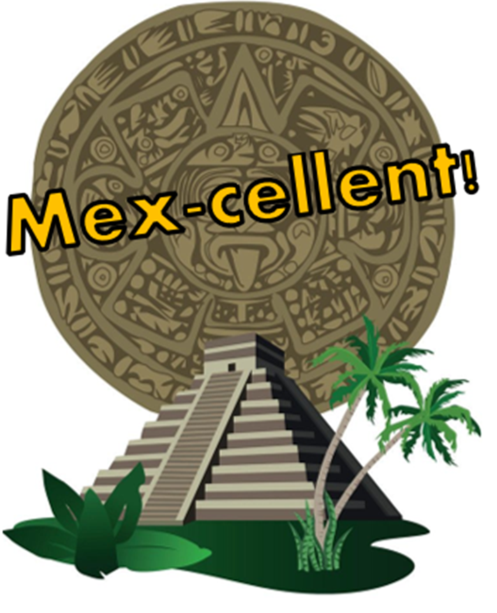 Year 5 Mex cellent